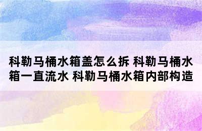 科勒马桶水箱盖怎么拆 科勒马桶水箱一直流水 科勒马桶水箱内部构造